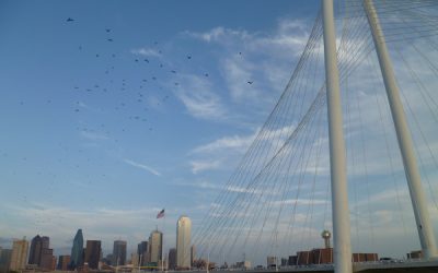 Turning on the Lightbulb – A Second-Timer’s First Impressions of NNIP