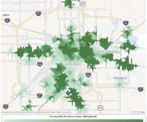 A Fine-Grained Look at Food Accessibility