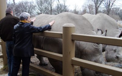 Beauty Truly is in the Eye of the Beholder!