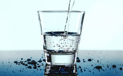 Beyond the Water: Lead Exposure in Detroit’s Children