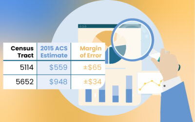 2020 American Community Survey Data: Margin of Error Analysis