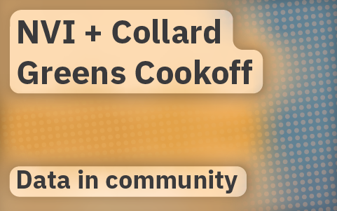 Bringing the Neighborhood Vitality Index Home